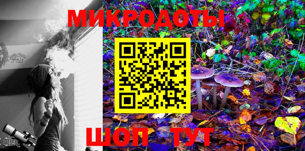 Тихорецк  купить наркотик  Вход с VPN  Галлюциногенные грибы Psilocybe  Галлюциногенные грибы Psilocybe 